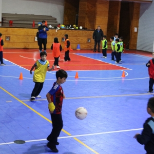 Día de la Actividad Física